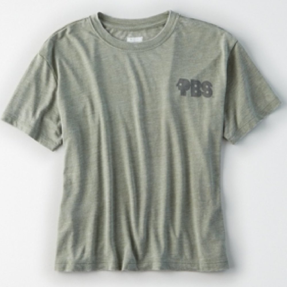 AE Tailgate PBS Cropped Graphic T-Shirt Washed Olive M